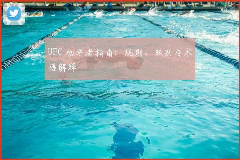UFC 初学者指南：规则、级别与术语解释