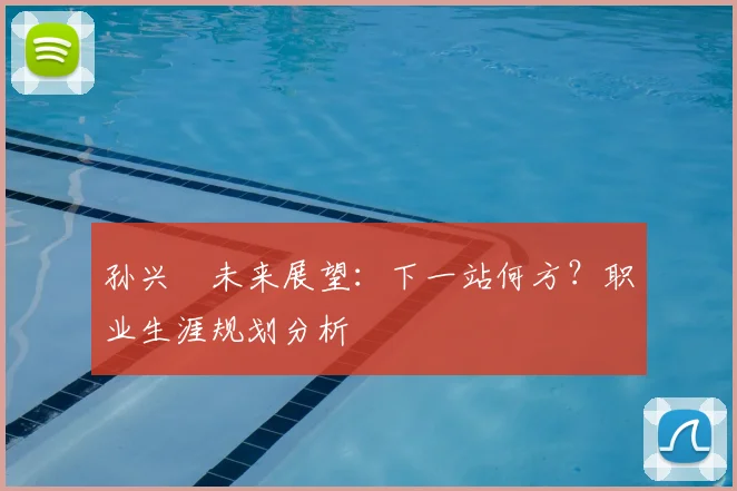孙兴慜未来展望:下一站何方?职业生涯规划分析
