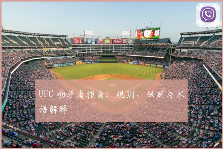 UFC 初学者指南:规则、级别与术语解释
